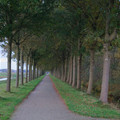 DSC_1311.jpg