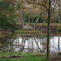 DSC_1312.jpg