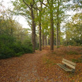 DSC_1318.jpg