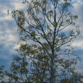 DSC_1242-1.jpg